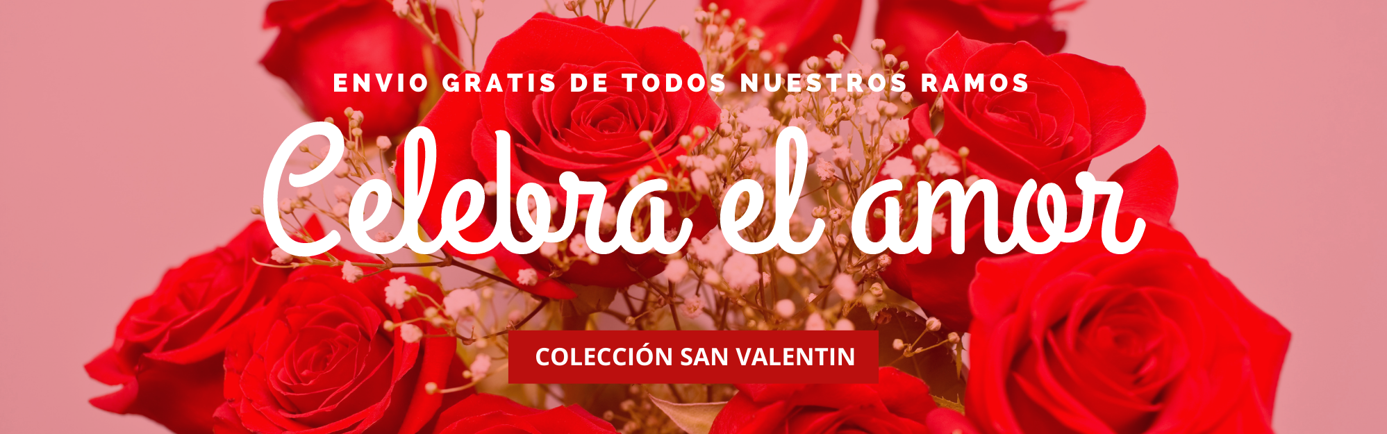 Banner San Valentín